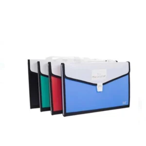 Expanding Bag 12 Pocket – Multi-Section Document Organizer File
