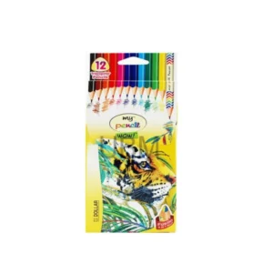 Dollar My Pencil Color 12 Pcs Full Size Coloring Pencil Set for Kids & Students