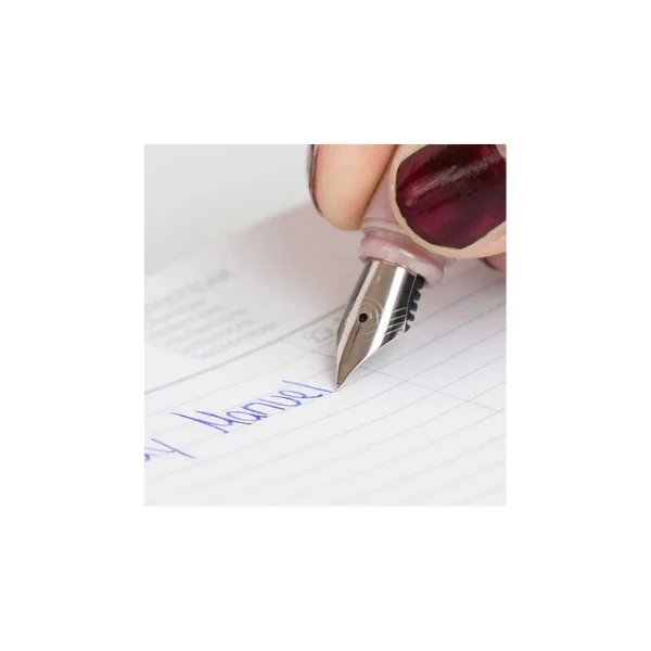 <h2>Schneider Ceod Shiny Fountain Pen – Writing Pen</h2> - Image 2