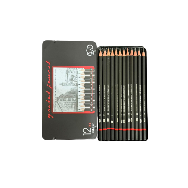 <h2>Professional Graphite Pencil Set – 12 Pcs Art Drawing</h2>