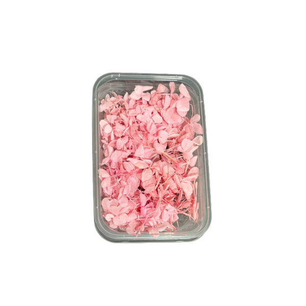 <h2>Pressed Dry Flowers & Leaves – Multiple Colors</h2>